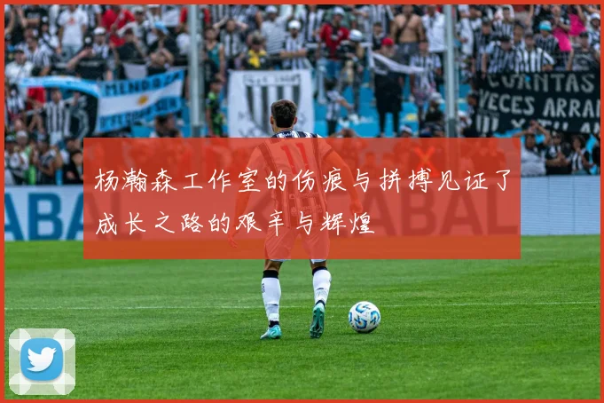 杨瀚森工作室的伤痕与拼搏见证了成长之路的艰辛与辉煌