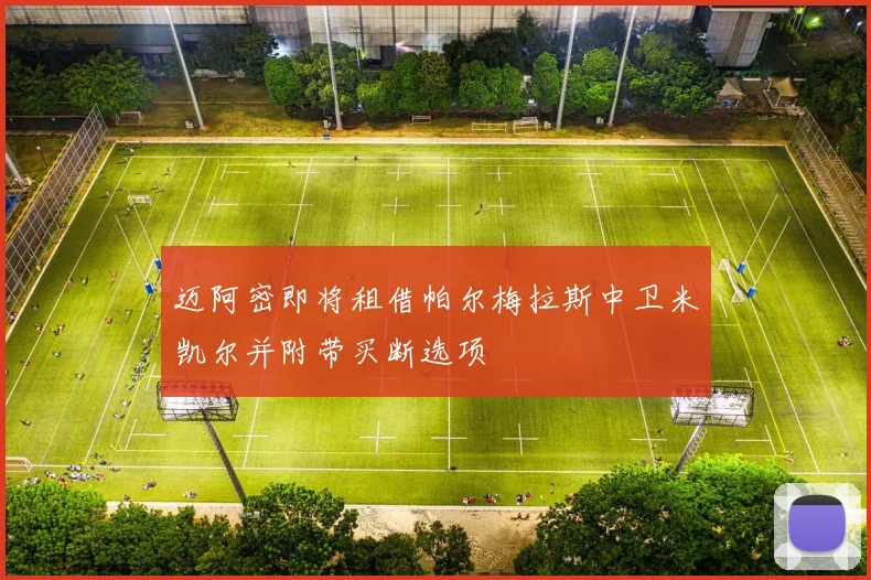 迈阿密即将租借帕尔梅拉斯中卫米凯尔并附带买断选项