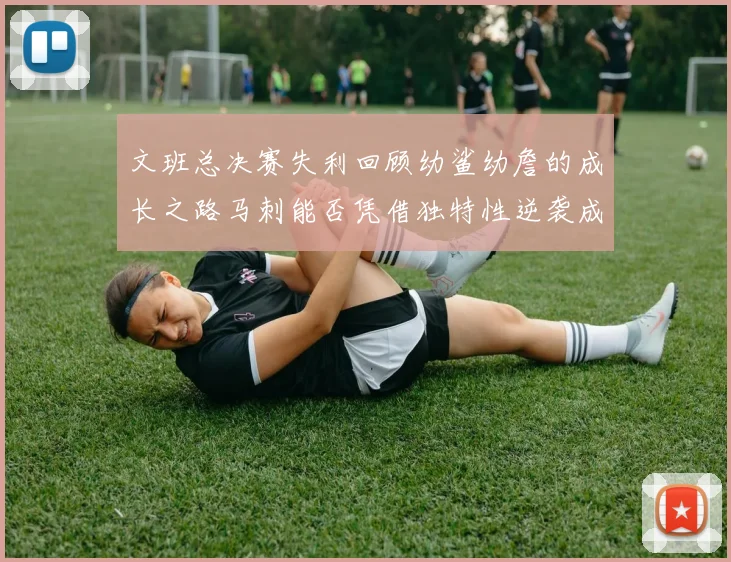 文班总决赛失利回顾幼鲨幼詹的成长之路马刺能否凭借独特性逆袭成功