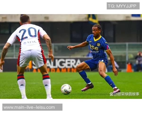 意甲分析：维罗纳面临困境难以反弹前景堪忧